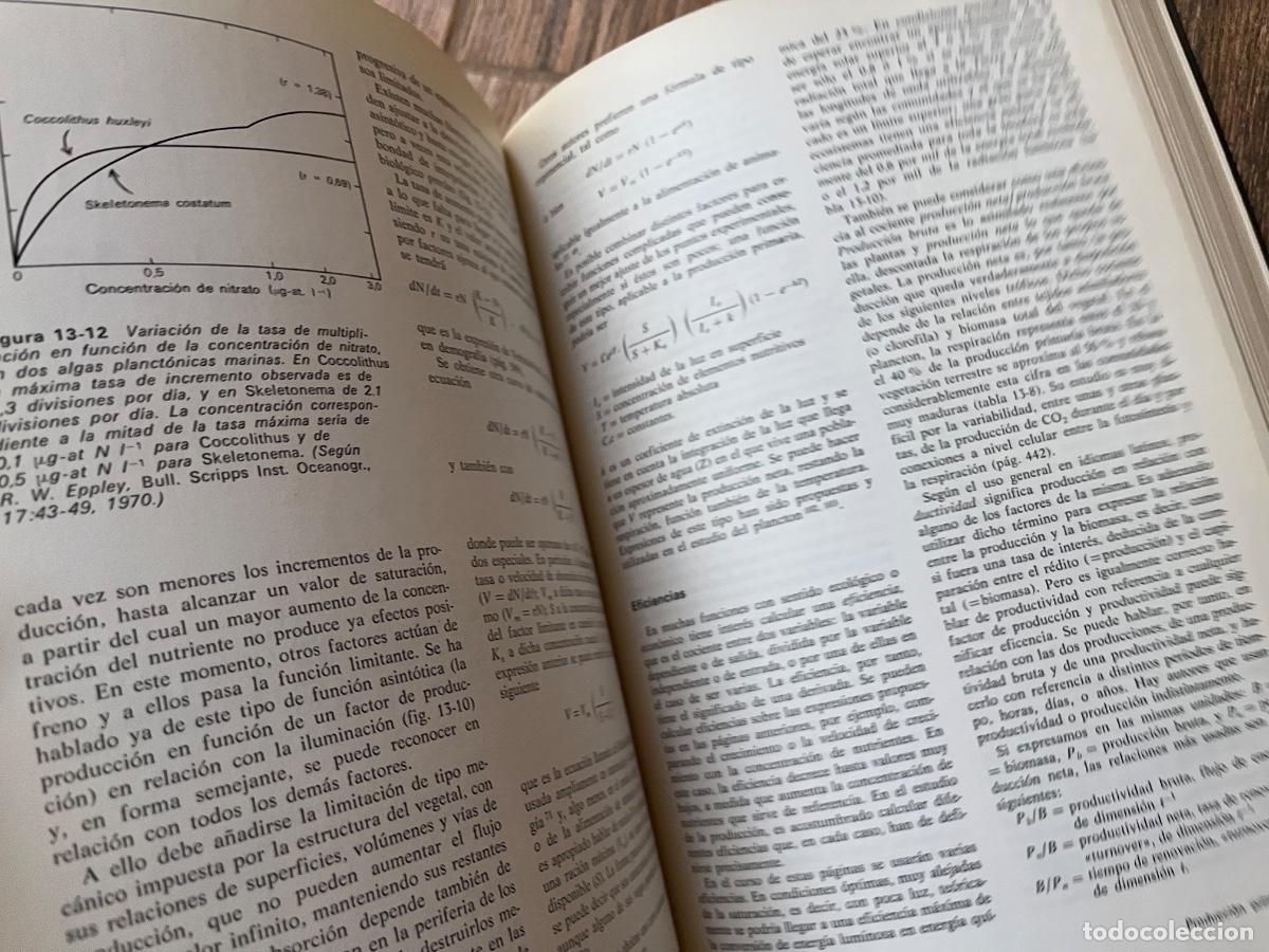 Libros de segunda mano: Ecolog&iacute;a - Ram&oacute;n Margalef Ediciones omega - Foto 11