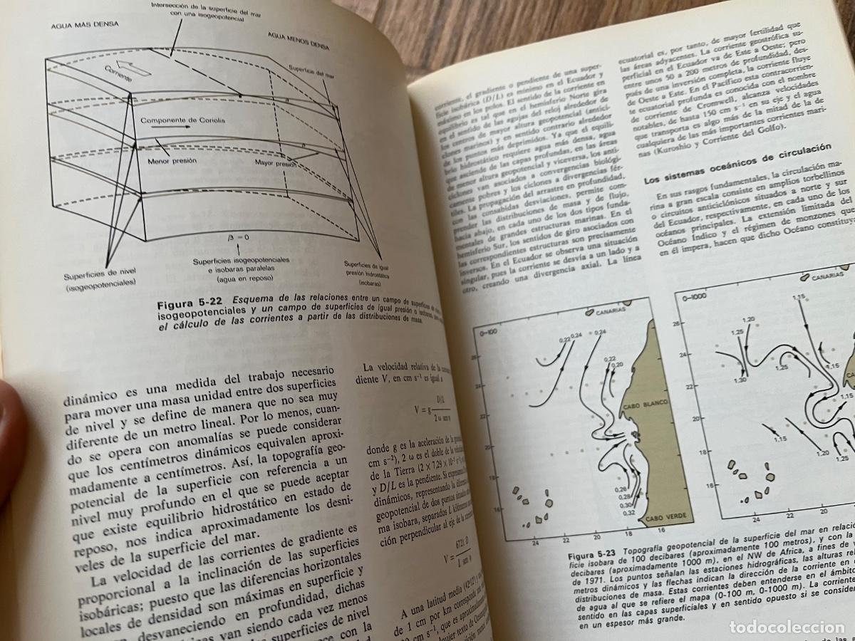 Libros de segunda mano: Ecolog&iacute;a - Ram&oacute;n Margalef Ediciones omega - Foto 13