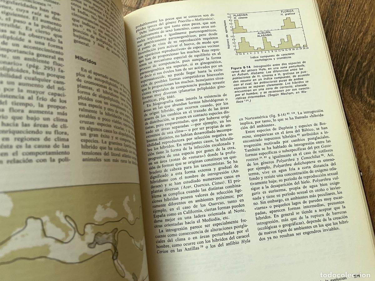 Libros de segunda mano: Ecolog&iacute;a - Ram&oacute;n Margalef Ediciones omega - Foto 15