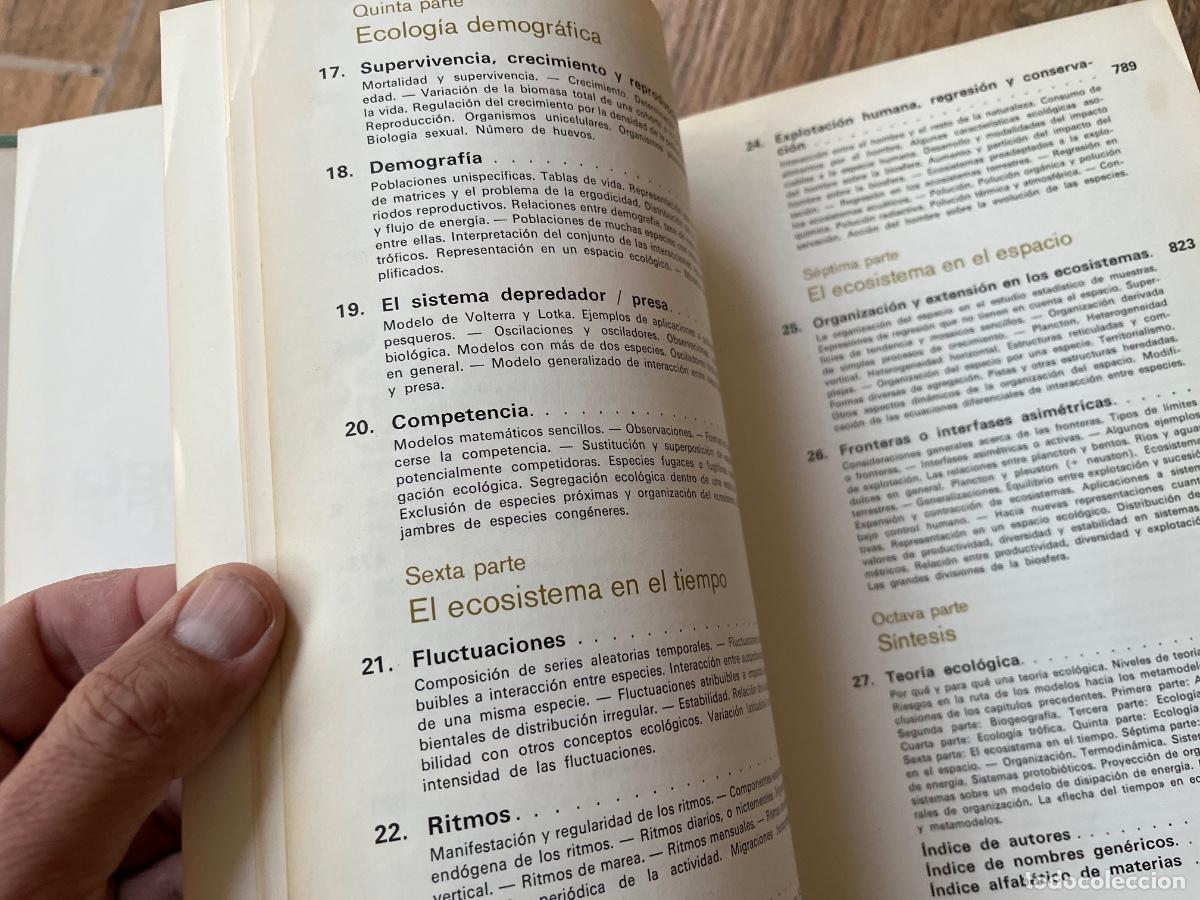 Libros de segunda mano: Ecolog&iacute;a - Ram&oacute;n Margalef Ediciones omega - Foto 16