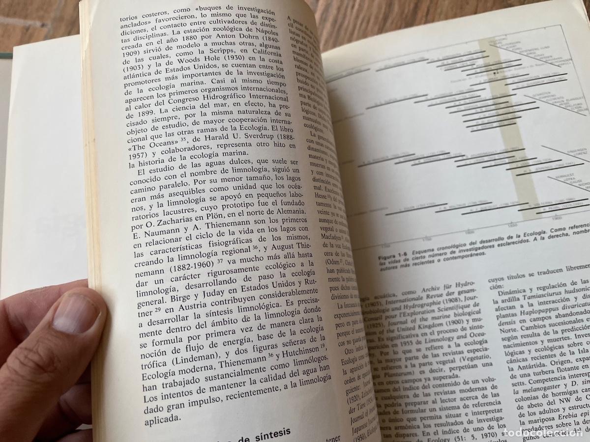 Libros de segunda mano: Ecolog&iacute;a - Ram&oacute;n Margalef Ediciones omega - Foto 17