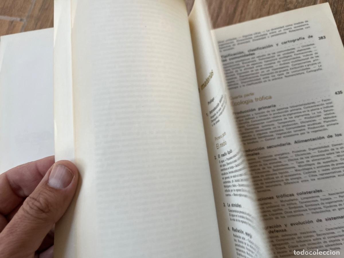 Libros de segunda mano: Ecolog&iacute;a - Ram&oacute;n Margalef Ediciones omega - Foto 20