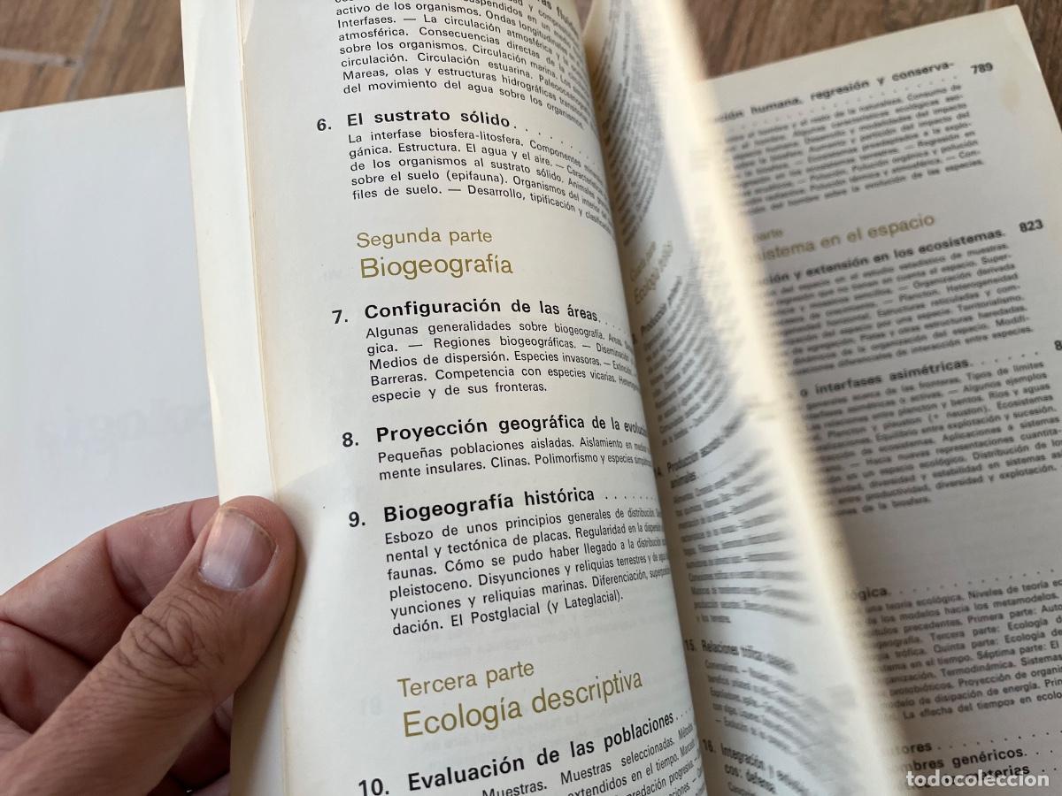 Libros de segunda mano: Ecolog&iacute;a - Ram&oacute;n Margalef Ediciones omega - Foto 21