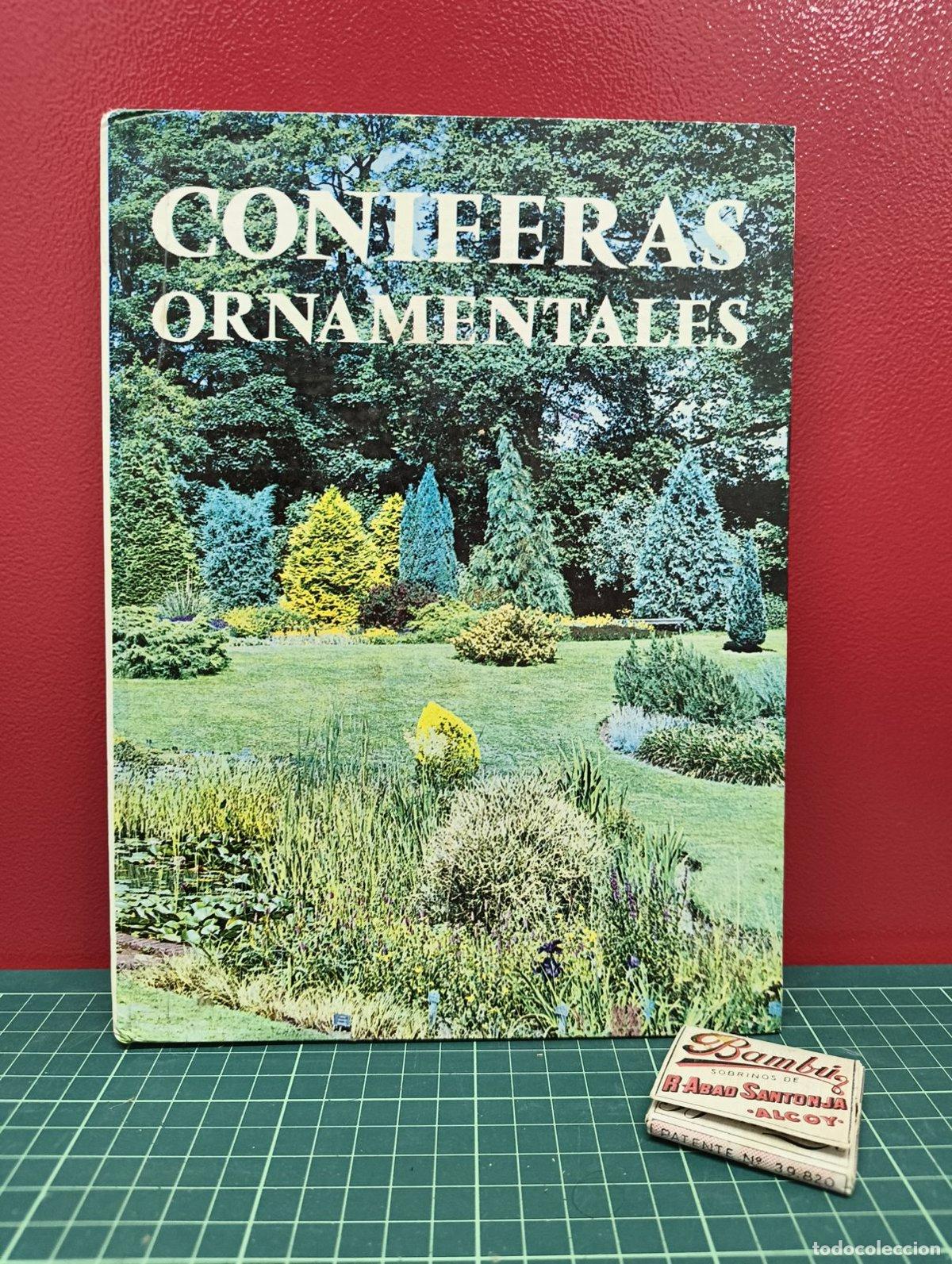 Libros de segunda mano: Con&iacute;feras ornamentales - Roberto Guill&eacute;n - Foto 1