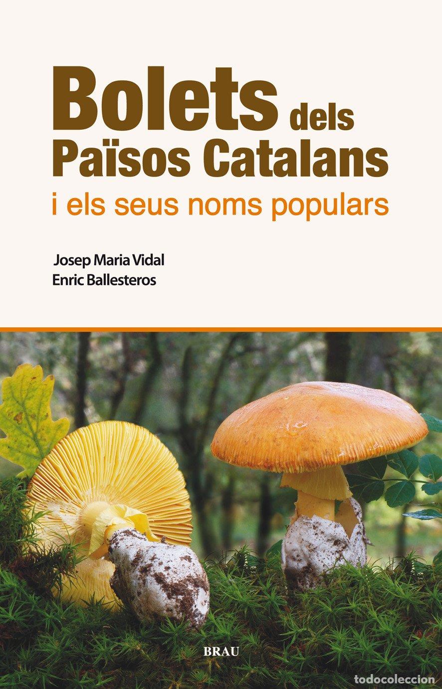 Libros de segunda mano: Bolets dels Pa&iuml;sos Catalans i els Seus Noms Populars: Els Millors Comestibles - Vidal y Ballesteros