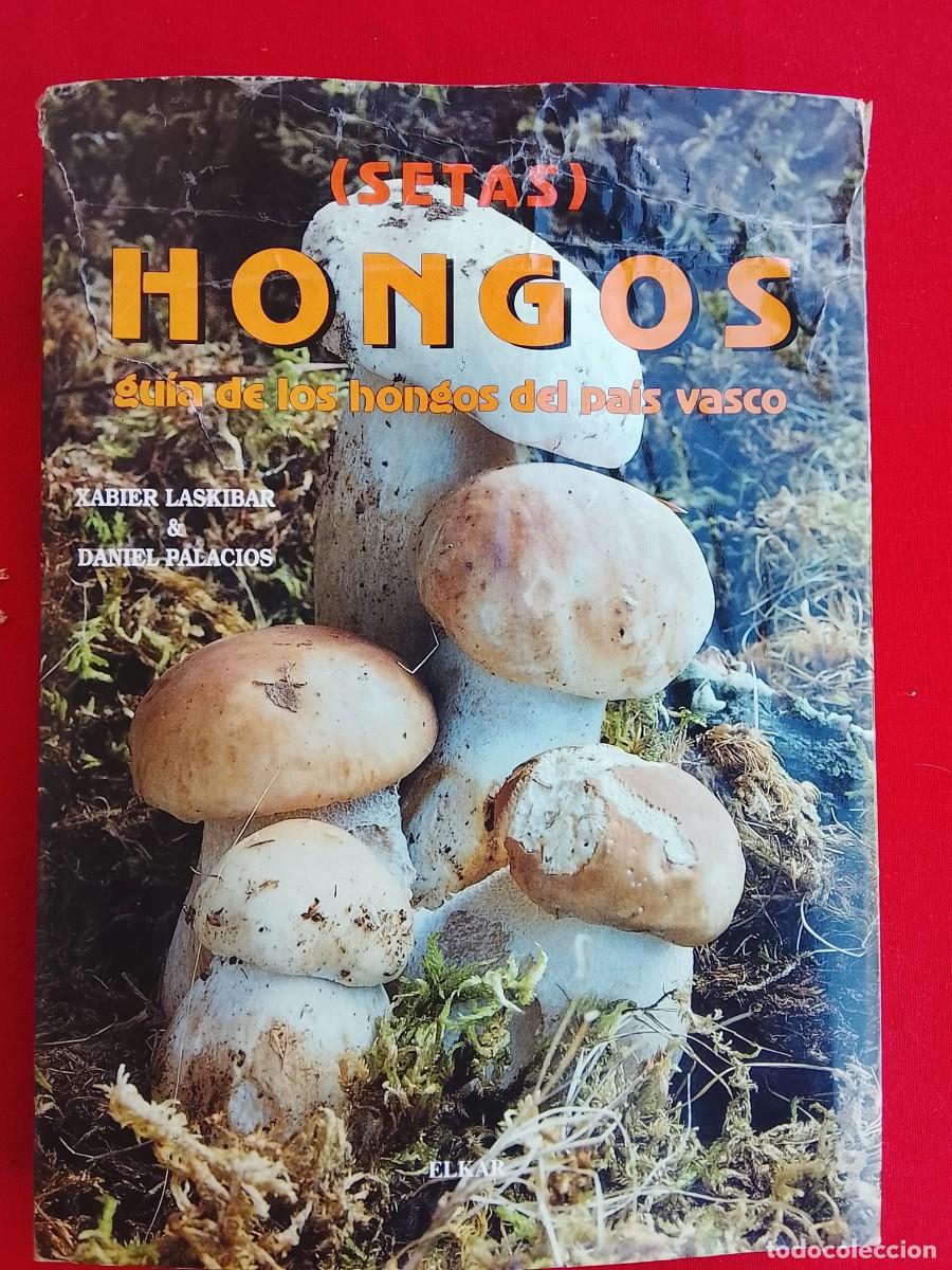 Libros de segunda mano: HONGOS - SETAS PAIS VASCO