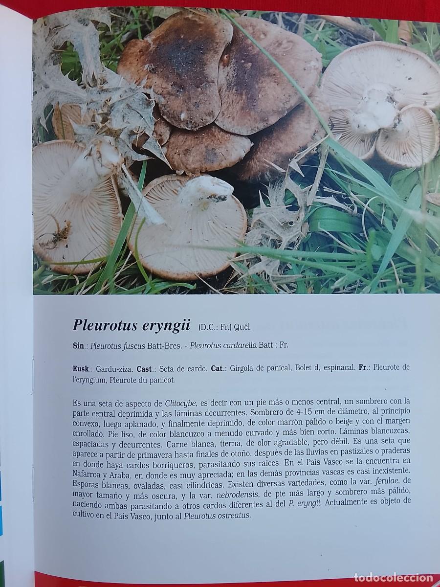 Libros de segunda mano: HONGOS - SETAS PAIS VASCO - Foto 3