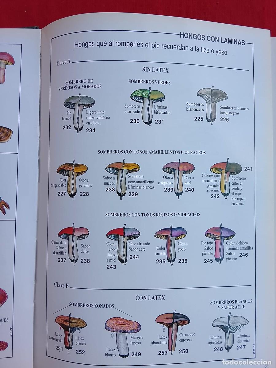 Libros de segunda mano: HONGOS - SETAS PAIS VASCO - Foto 5