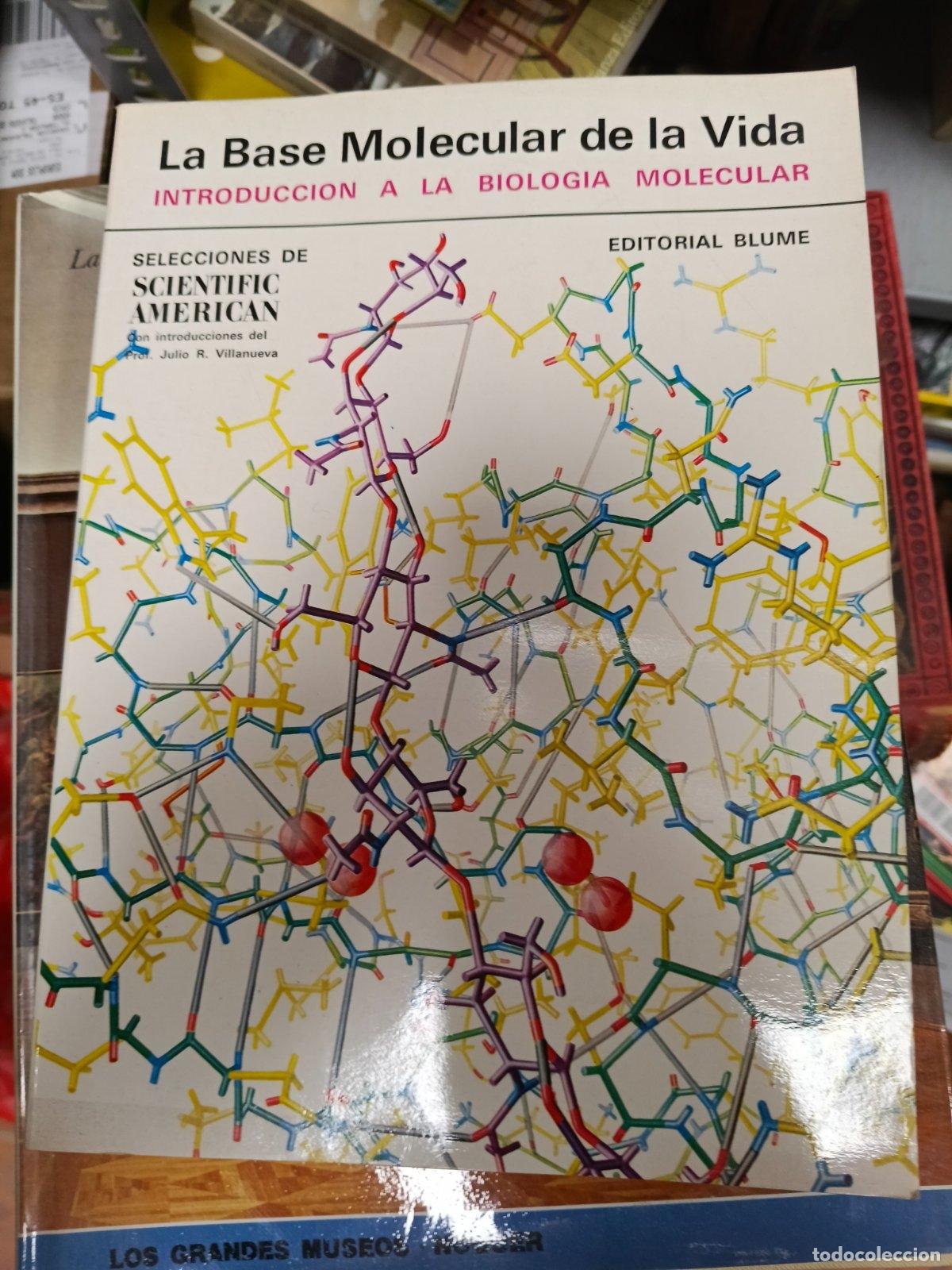 Libros de segunda mano: La base molecular de la vida | Selecciones de scientific american | Blume - Foto 1