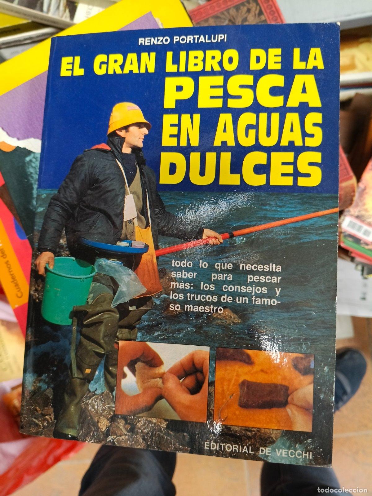 Libros de segunda mano: Gran libro de la pesca en aguas dulces, el | Renzo Portalupi | De Vecchi Ediciones | 1992 - Foto 1