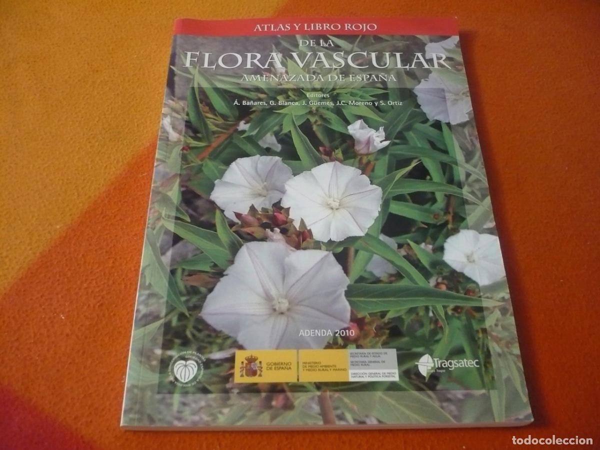 Libros de segunda mano: ATLAS Y LIBRO ROJO DE LA FLORA VASCULAR AMENAZADA DE ESPA&Ntilde;A BOTANICA PLANTAS ECOLOGIA CONSERVACION