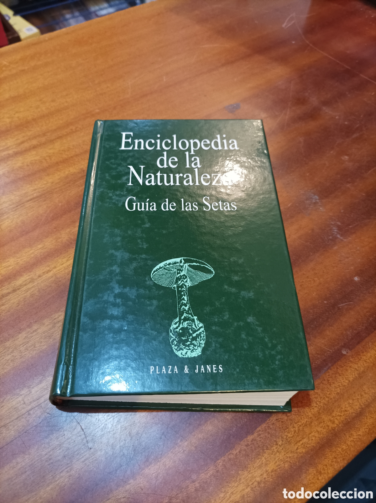 Libros de segunda mano: GUIA DE LAS SETAS . ENCICLOPEDIA DE LA NATURALEZA.PLAZA &JANES1994