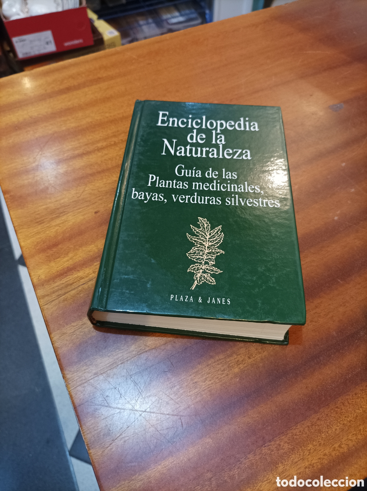 Libros de segunda mano: GUIA DE LAS PLANTAS MEDICINALES,BAYAS, VERDURAS SILVESTRES.GRAU/JUNG/MUNKER..PLAZA&JANES