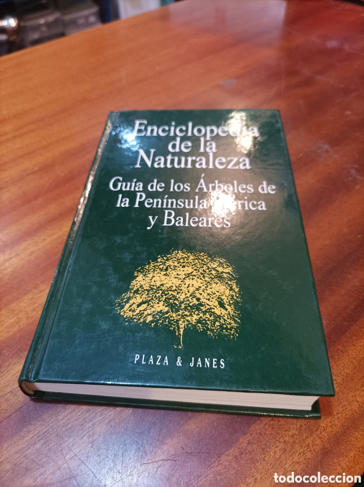 Libros de segunda mano: GUIA DE LOS ARBOLES DE LA PEN&Iacute;NSULA IB&Eacute;RICA Y BALEARES.FRANCISCO SANTOLALLA FRAGERO.PLAZA &JANES