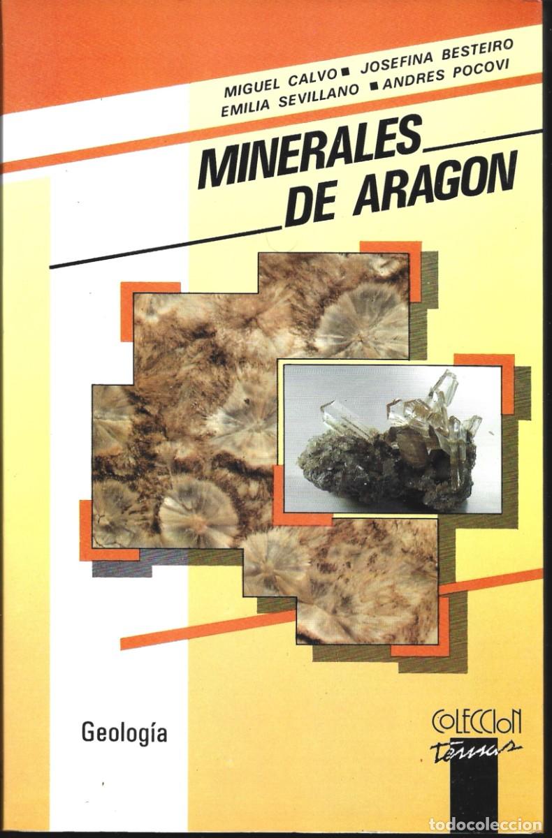 Libros de segunda mano: MINERALES DE ARAG&Oacute;N, de Miguel Calvo, Josefina Besteiro, Emilia Sevillano, Andr&eacute;s Pocovi. (1988)
