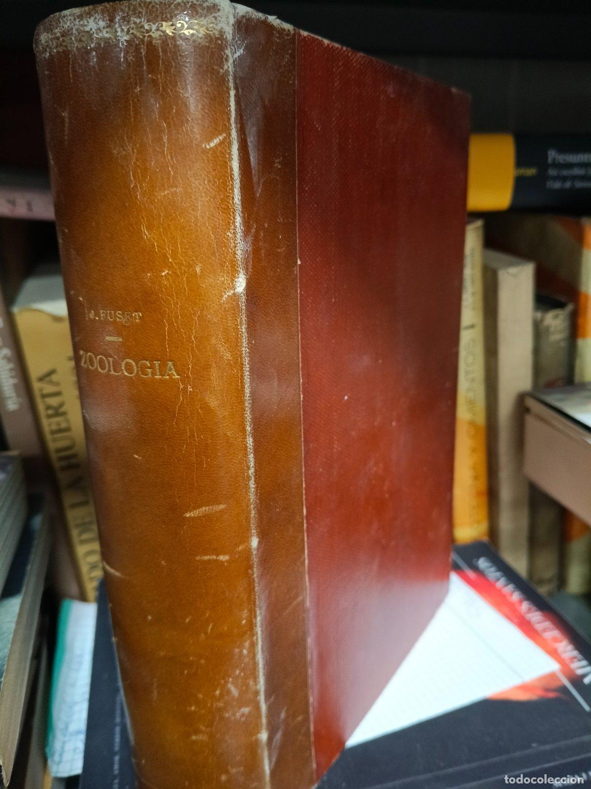 Libros de segunda mano: Manual de Zoologia | Dr. J. Fuset Tubia | Bosch