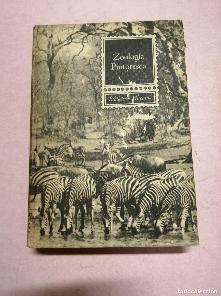 Libros de segunda mano: ZOOLOGIA PINTORESCA. BIBLIOTECA HISPANIA - Foto 1
