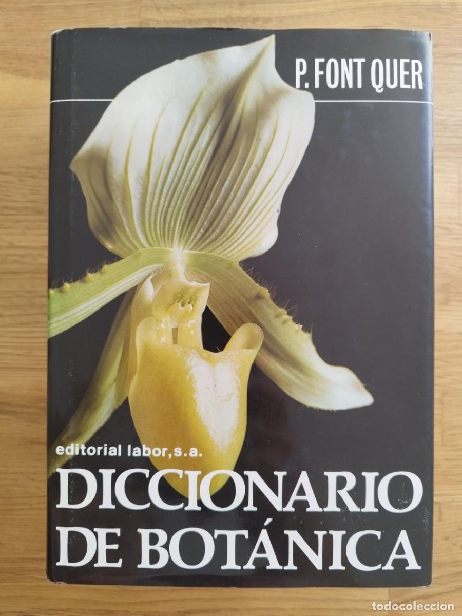 Libros de segunda mano: Diccionario de bot&aacute;nica, P. Font Quer (PREGUNTAR DISPONIBILIDAD)