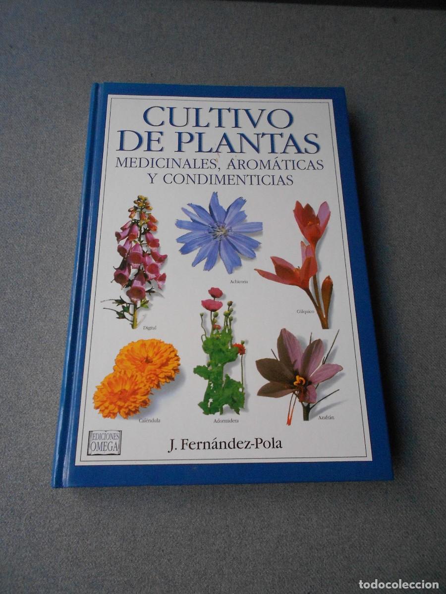 Libros de segunda mano: CULTIVO DE PLANTAS MEDICINALES, AROMATICAS Y CONDIMENTICIAS.