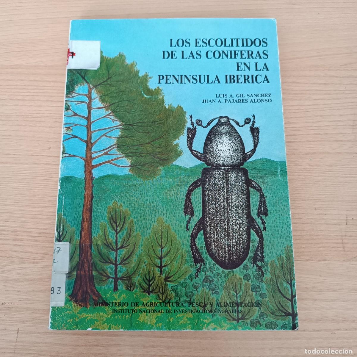 Libros de segunda mano: Los escol&iacute;tidos de las con&iacute;feras en la Pen&iacute;nsula Ib&eacute;rica - Luis A. Gil S&aacute;nchez y Pajares Alonso