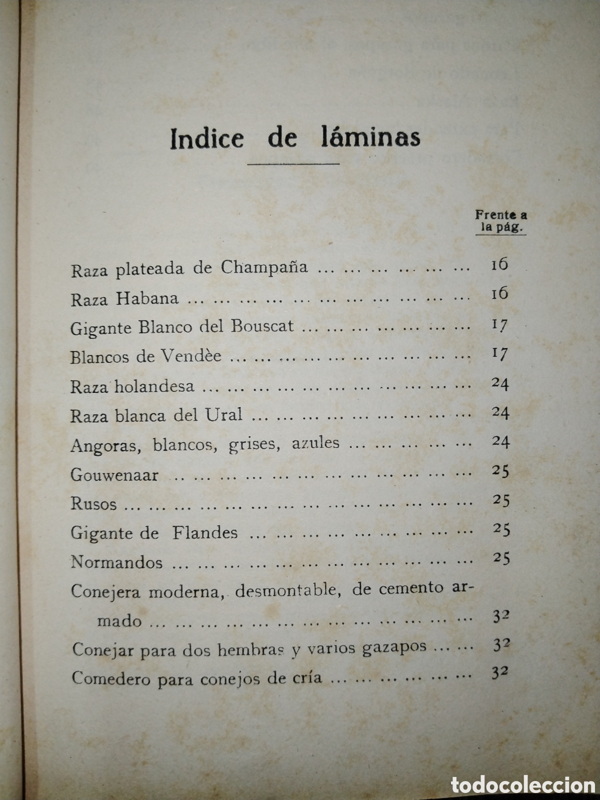 Libros de segunda mano: Los conejos productivos. A. Riera - Foto 5