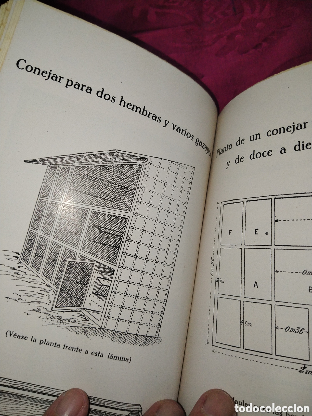 Libros de segunda mano: Los conejos productivos. A. Riera - Foto 6