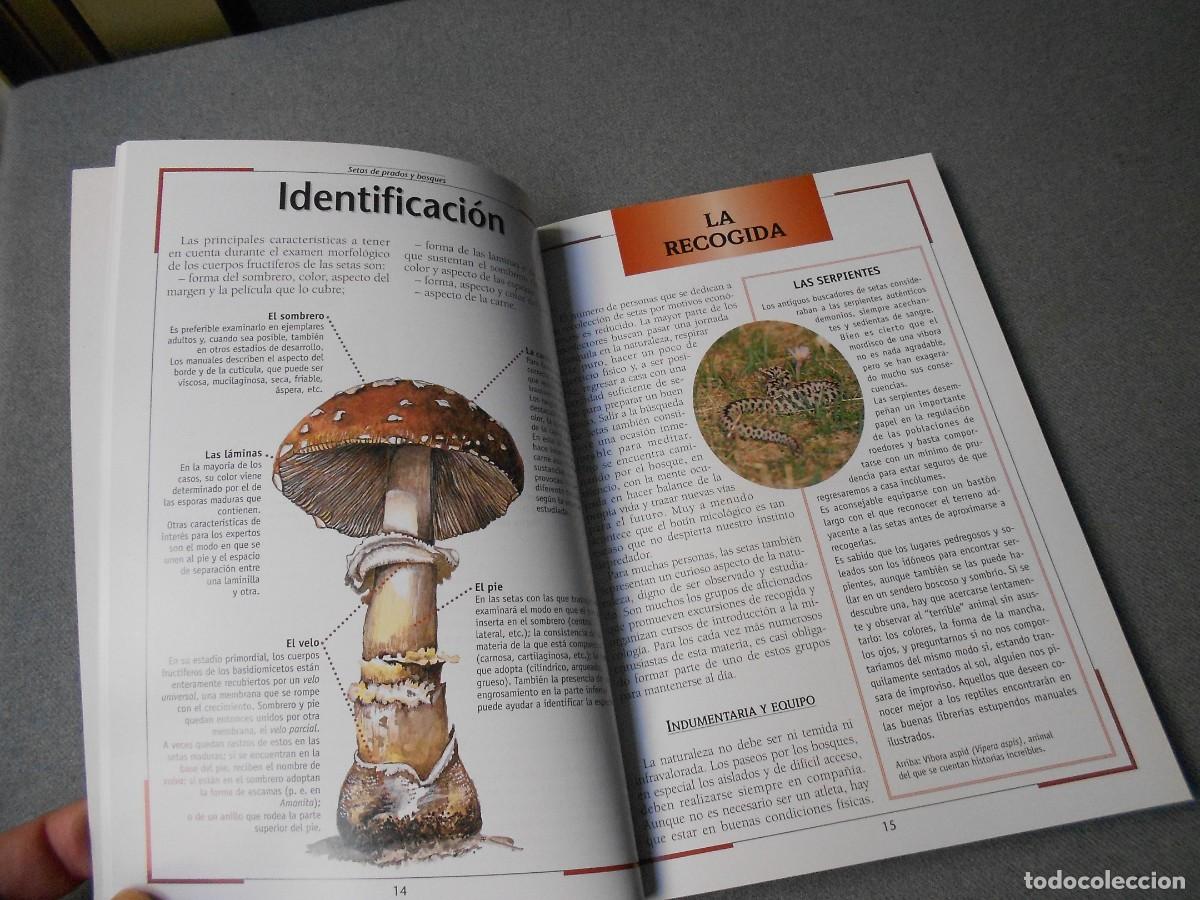 Libros de segunda mano: SETAS DE PRADOS Y BOSQUES. - Foto 5