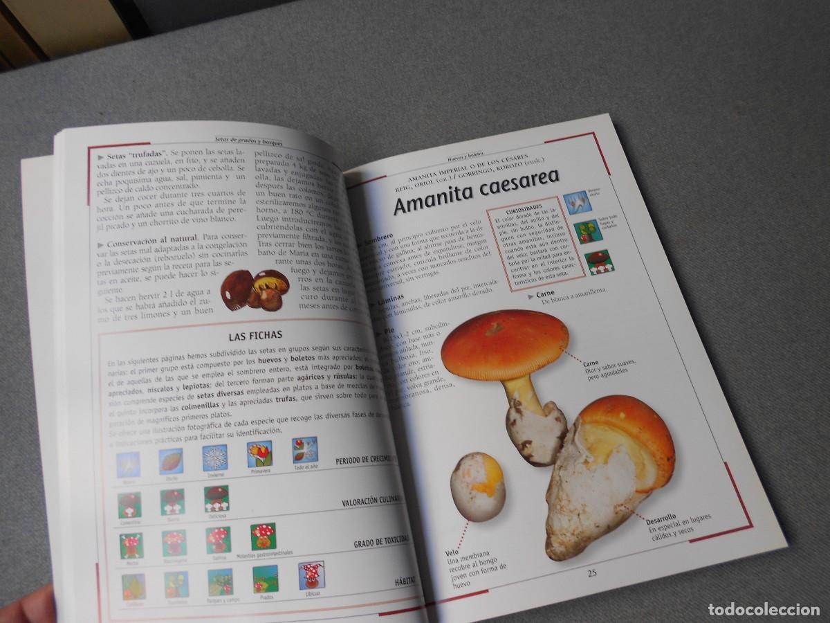 Libros de segunda mano: SETAS DE PRADOS Y BOSQUES. - Foto 6
