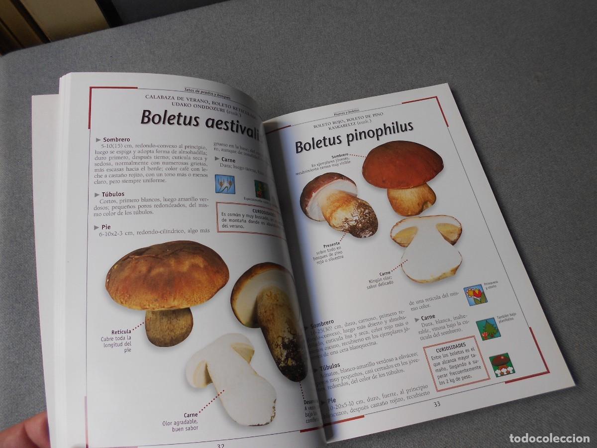 Libros de segunda mano: SETAS DE PRADOS Y BOSQUES. - Foto 7