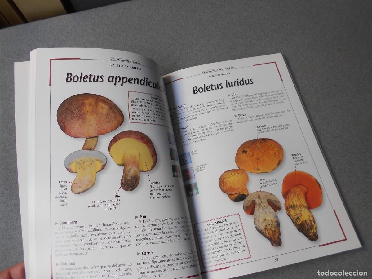 Libros de segunda mano: SETAS DE PRADOS Y BOSQUES. - Foto 8