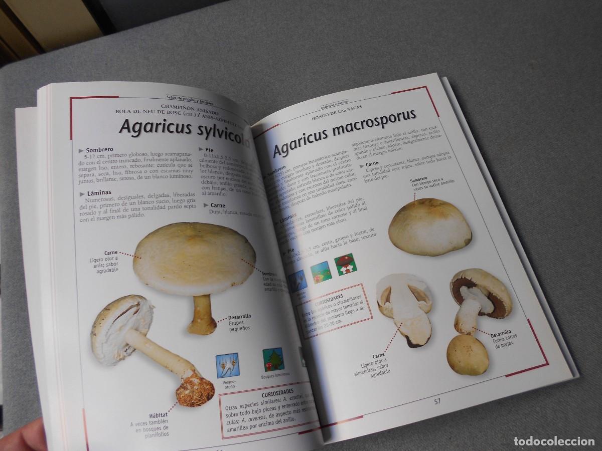 Libros de segunda mano: SETAS DE PRADOS Y BOSQUES. - Foto 9