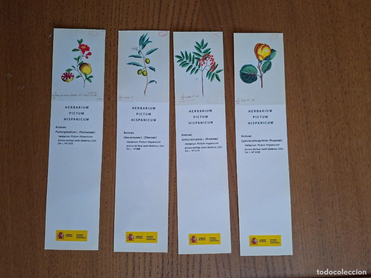 Libros de segunda mano: MARCAP&Aacute;GINAS: HERBARIUM PICTUM HISP&Aacute;NICUM (Bot&aacute;nica, flora)