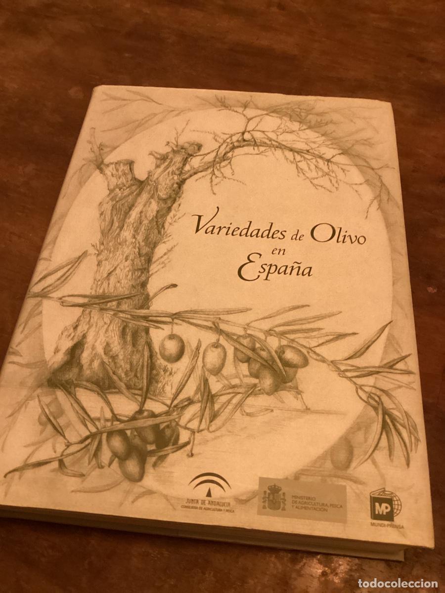 Libros de segunda mano: VVAA.: VARIEDADES DE OLIVO EN ESPA&Ntilde;A. JUNTA DE ANDALUC&Iacute;A. 2005.