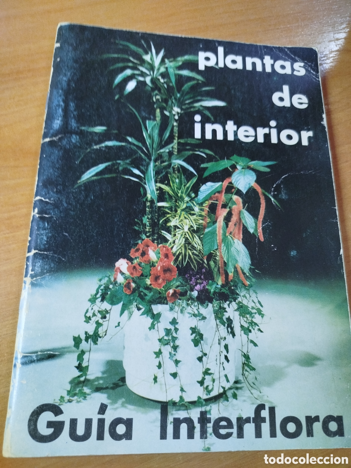 Libros de segunda mano: Plantas de interior. Gu&iacute;a interflora. Plantas en casa decoraci&oacute;n consejos