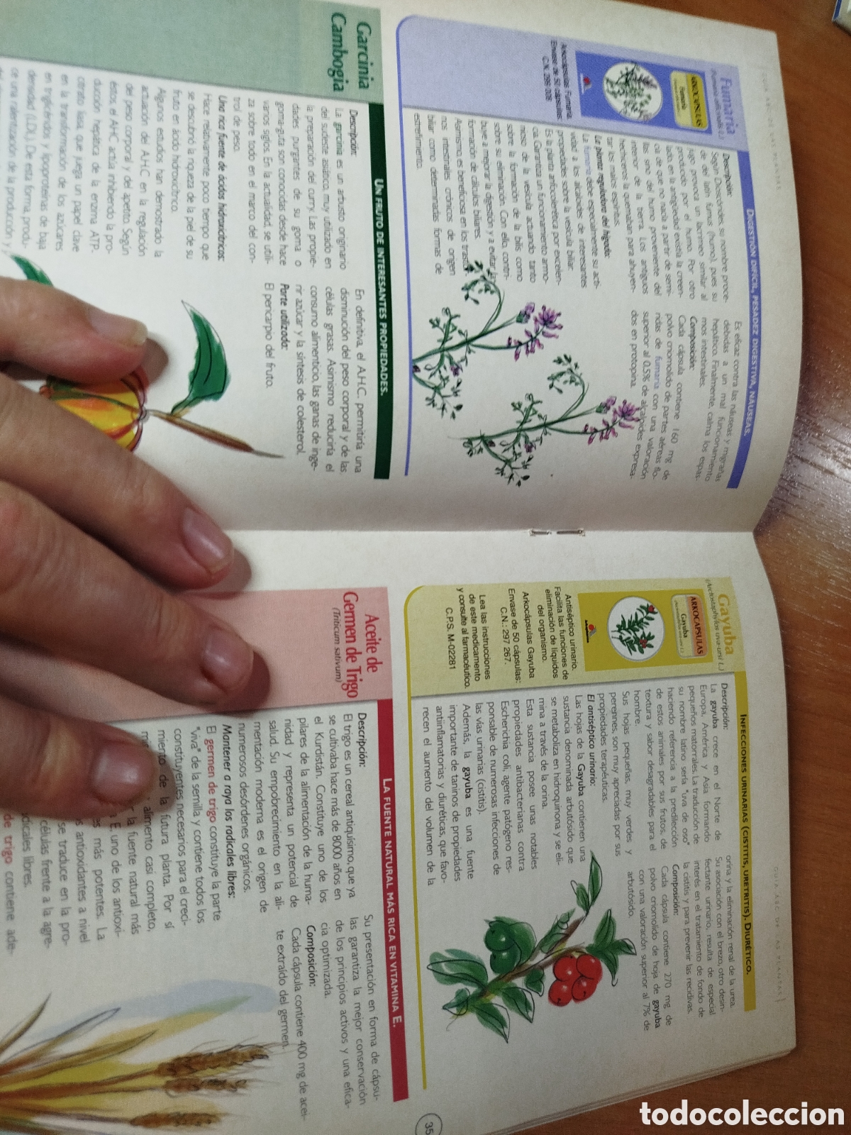 Libros de segunda mano: El ABC de las plantas. Gu&iacute;a pr&aacute;ctica de fitoterapia y complementos de la dieta. - Foto 2