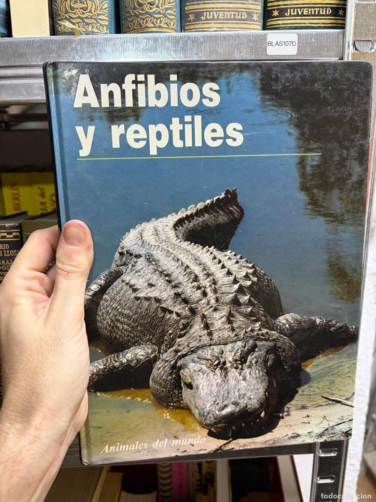 Libros de segunda mano: BLAS107D Anfibios y reptiles Animales del mundo