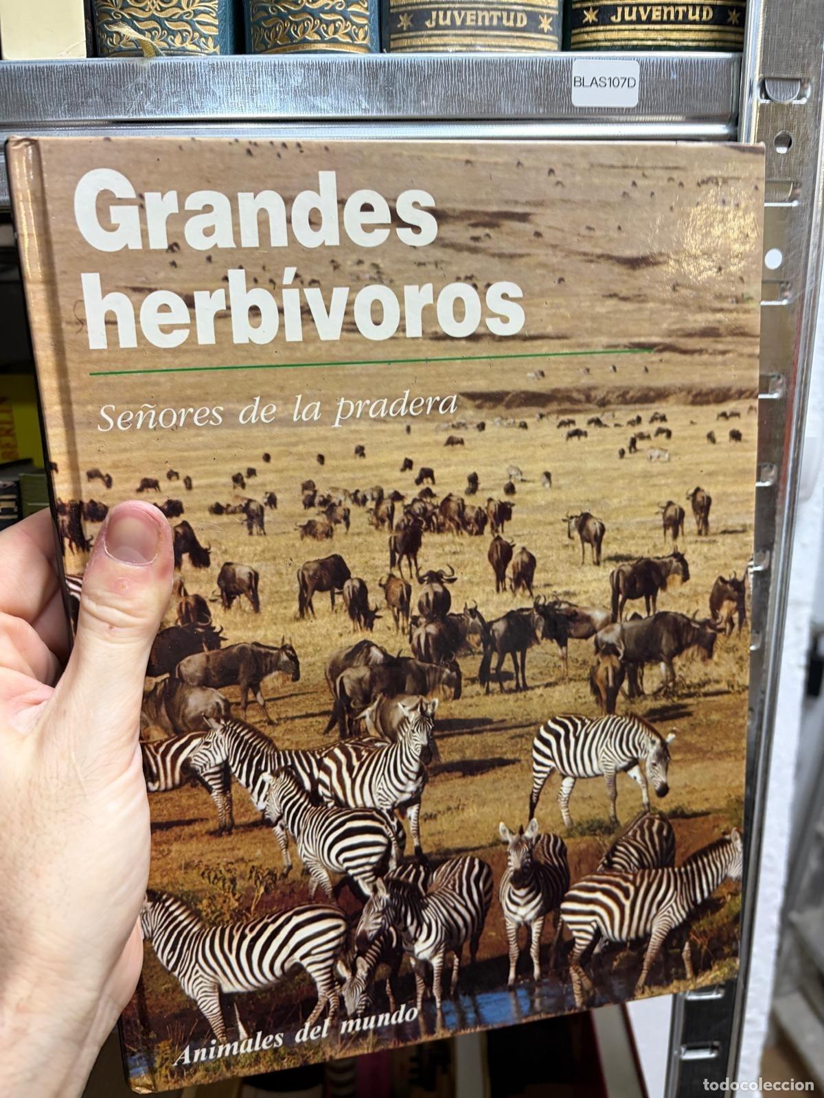 Libros de segunda mano: BLAS107D Grandes herb&iacute;voros Animales del mundo