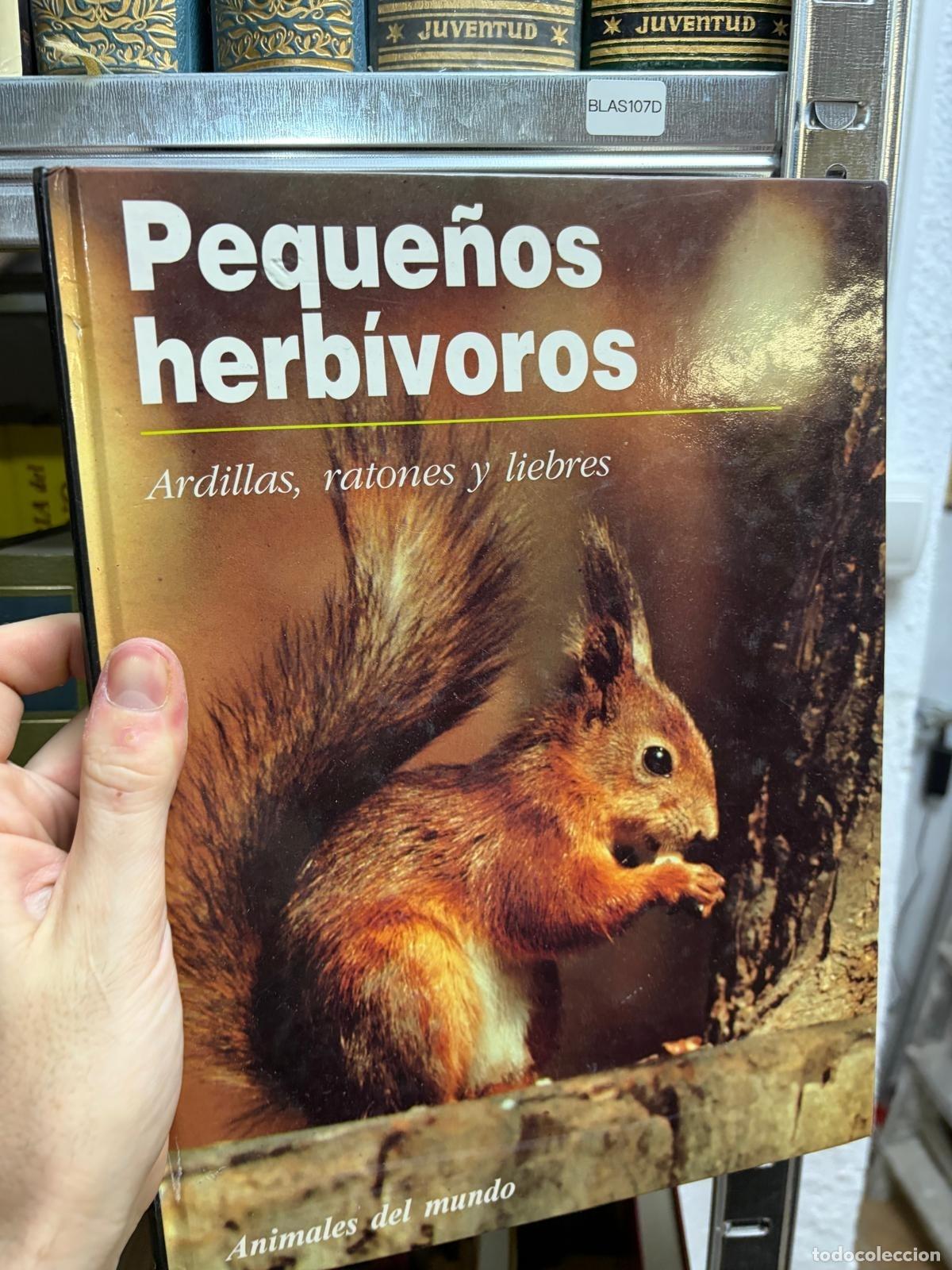 Libros de segunda mano: BLAS107D Peque&ntilde;os herb&iacute;voros Animales del mundo