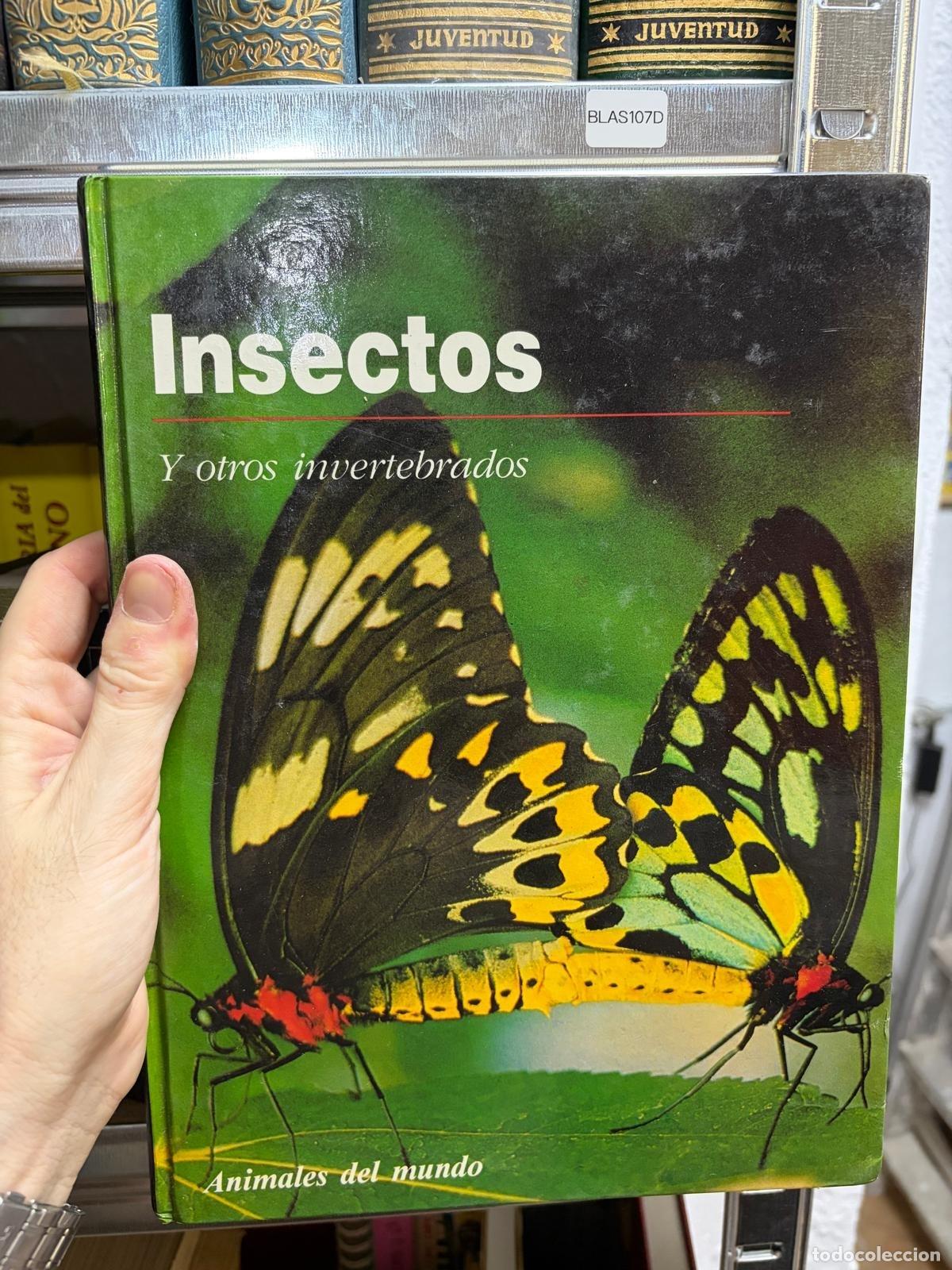 Libros de segunda mano: BLAS107D Insectos y otros invertebrados Animales del mundo