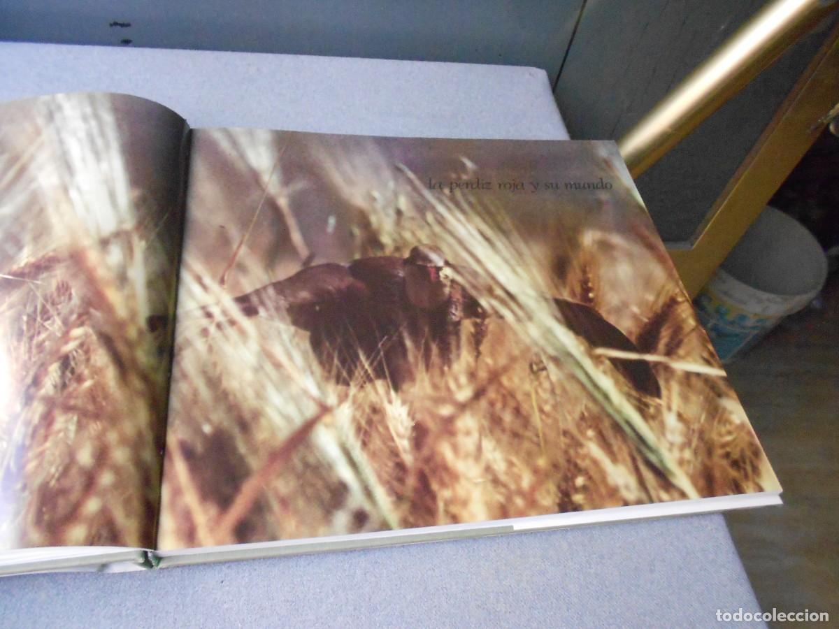 Libros de segunda mano: LA PERDIZ ROJA Y SU MUNDO - Foto 5
