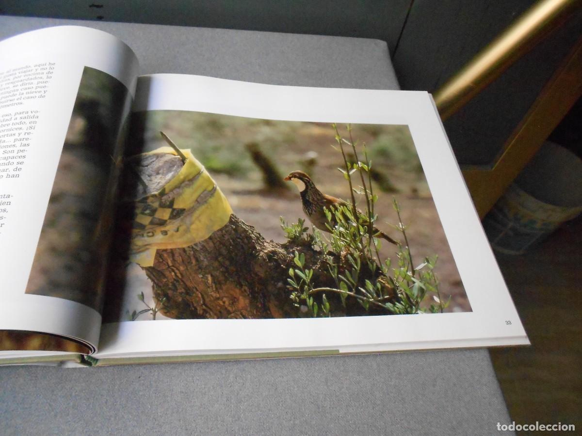 Libros de segunda mano: LA PERDIZ ROJA Y SU MUNDO - Foto 6