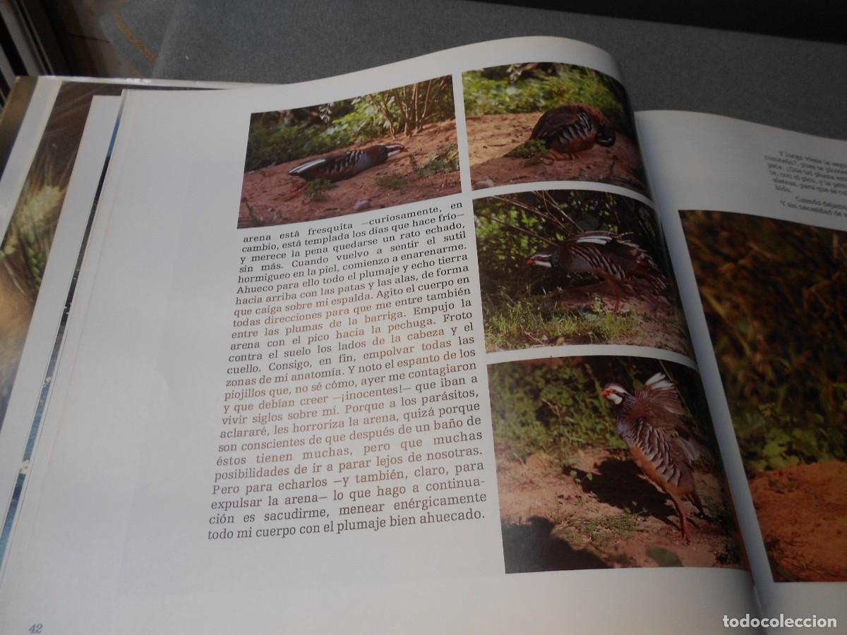 Libros de segunda mano: LA PERDIZ ROJA Y SU MUNDO - Foto 10