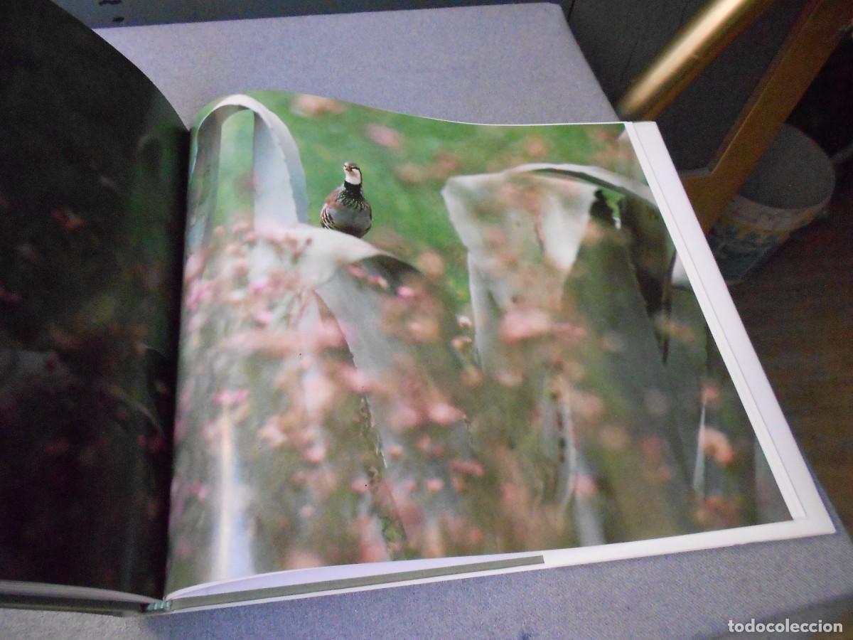Libros de segunda mano: LA PERDIZ ROJA Y SU MUNDO - Foto 9