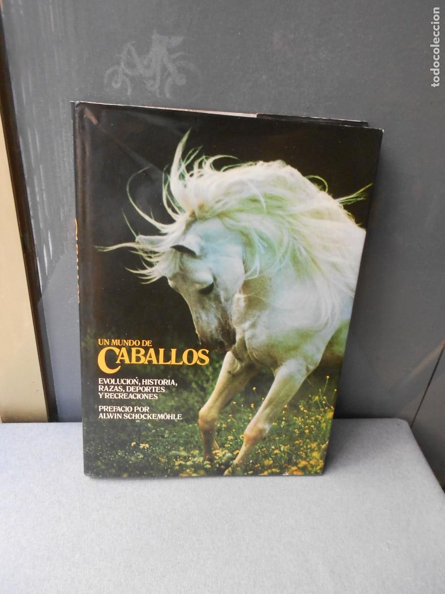 Libros de segunda mano: UN MUNDO DE CABALLOS - Foto 1