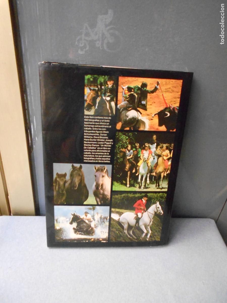 Libros de segunda mano: UN MUNDO DE CABALLOS - Foto 16