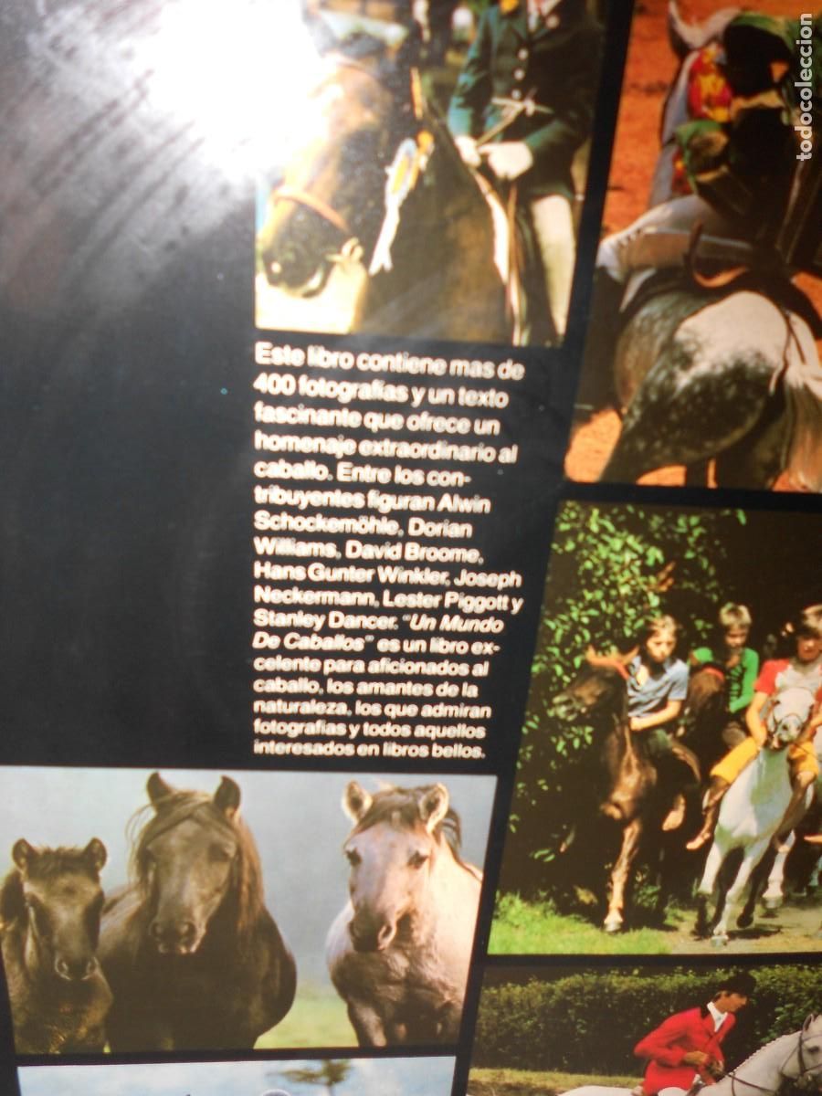 Libros de segunda mano: UN MUNDO DE CABALLOS - Foto 15