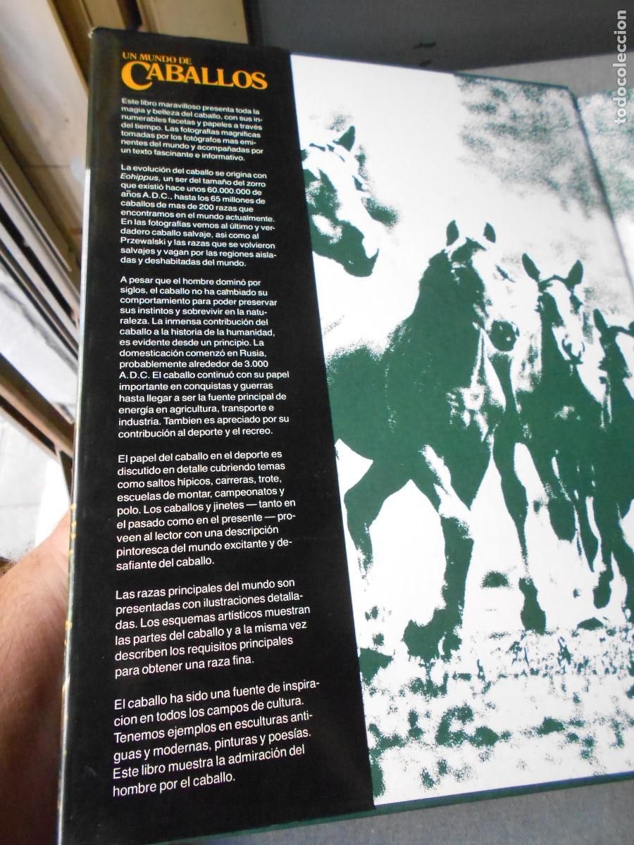 Libros de segunda mano: UN MUNDO DE CABALLOS - Foto 2