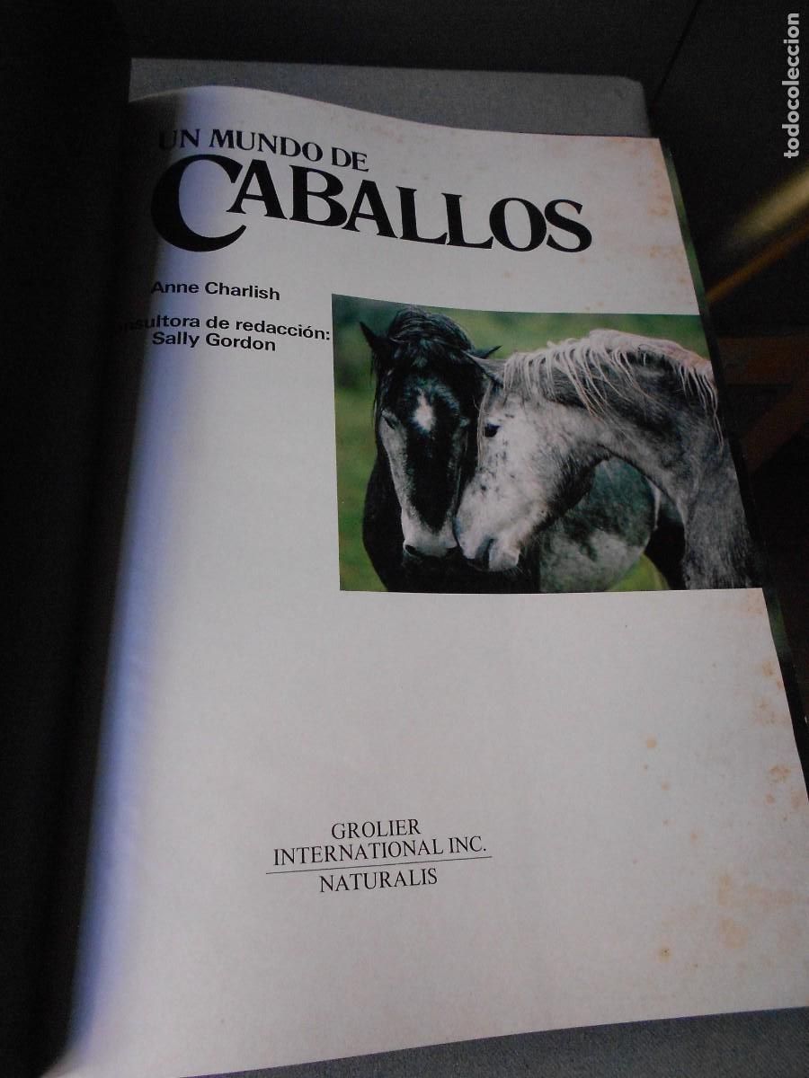 Libros de segunda mano: UN MUNDO DE CABALLOS - Foto 3