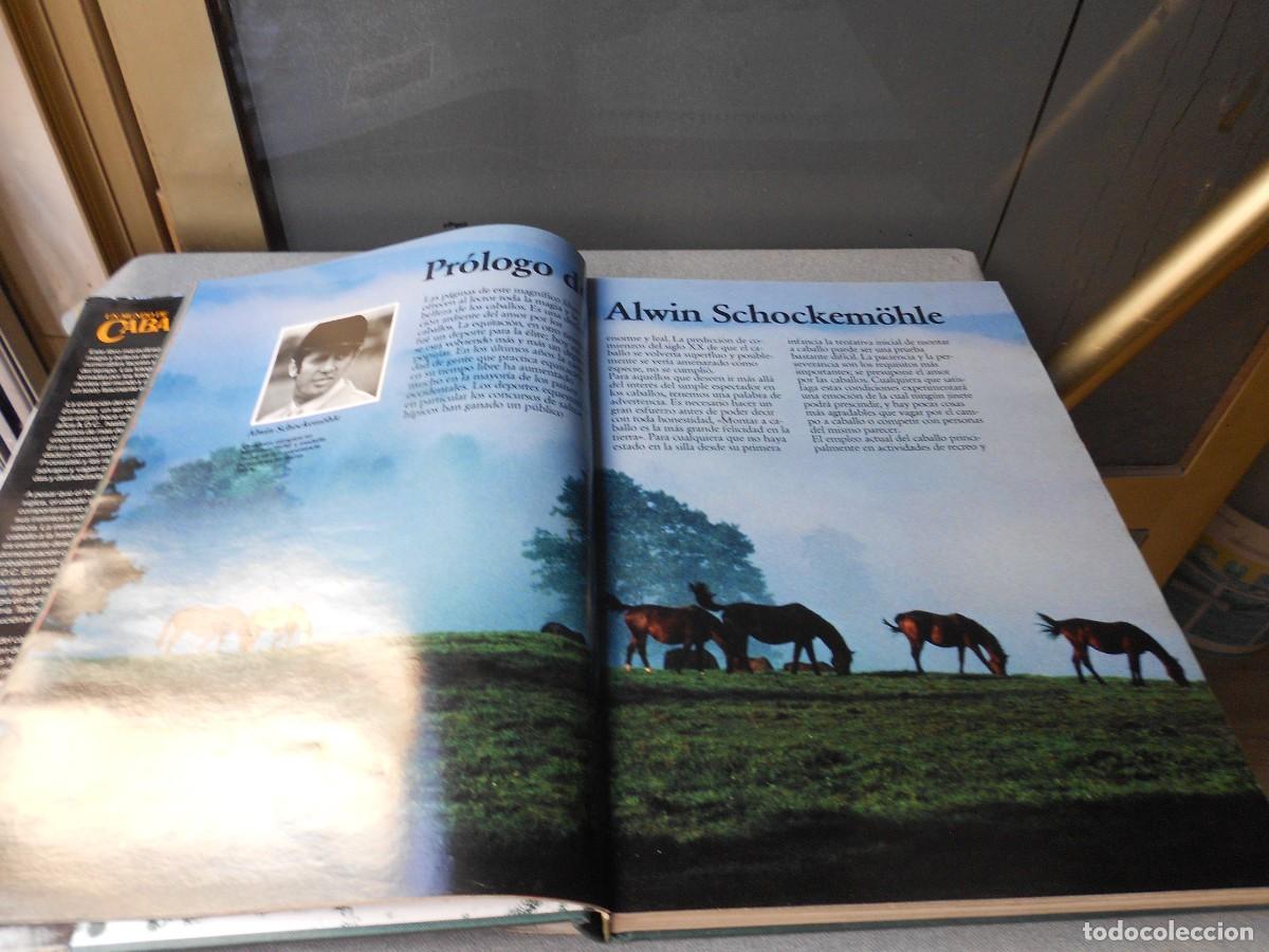 Libros de segunda mano: UN MUNDO DE CABALLOS - Foto 6