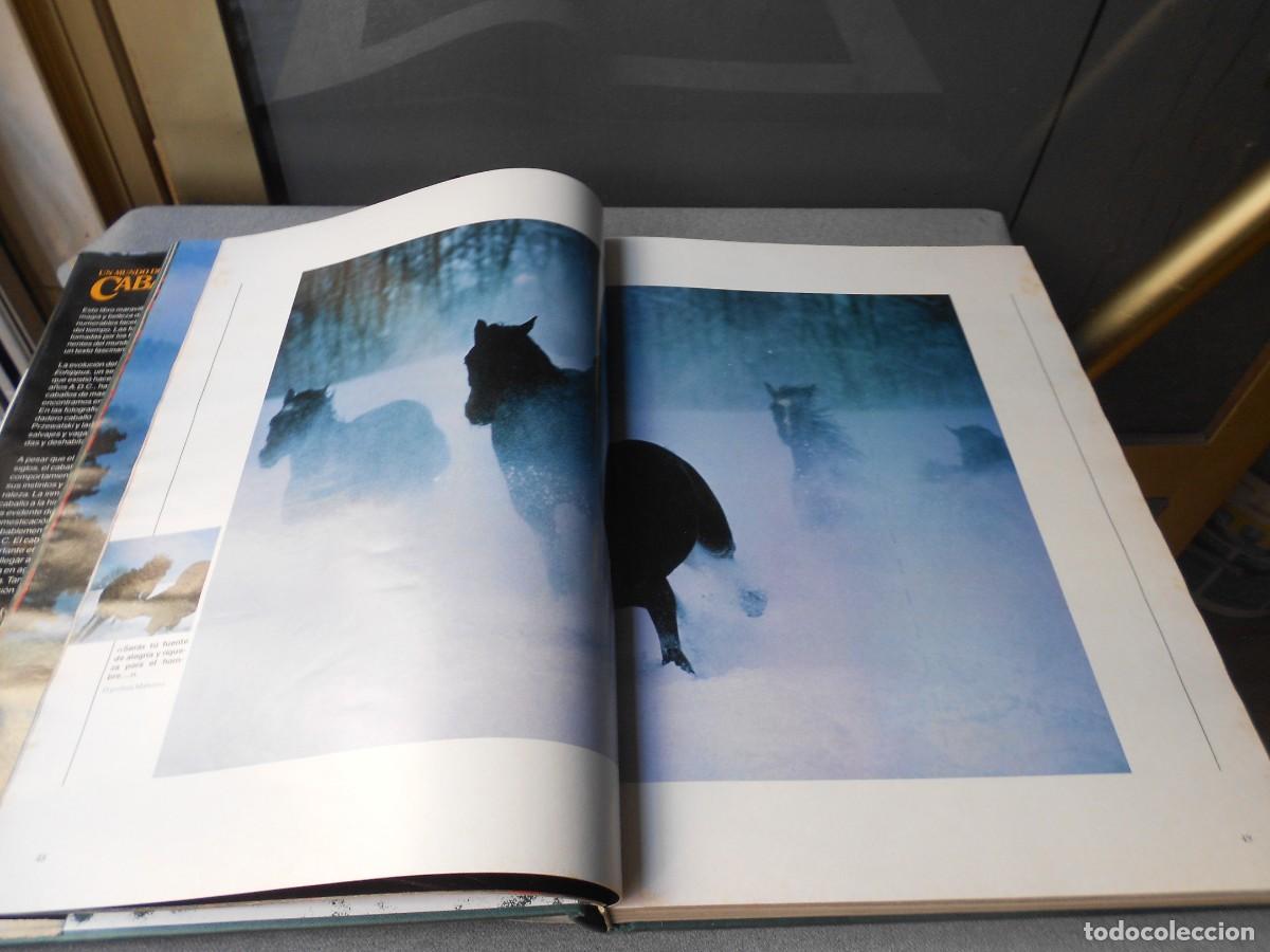 Libros de segunda mano: UN MUNDO DE CABALLOS - Foto 7